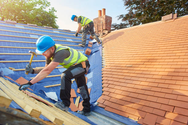 Best Roof Leak Repair  in Forsyth, MO